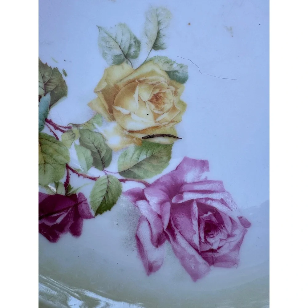 Antique PT Bavaria Tirschenreuth Porcelain Rose Bowl Scalloped Beaded 9.75in